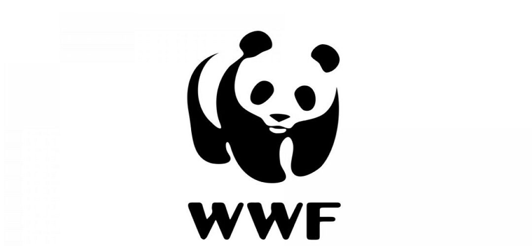 La WWF y su campaña de concienciación